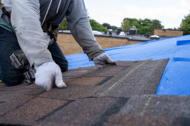 Best Emergency Roof Repair  in Mccrory, AR